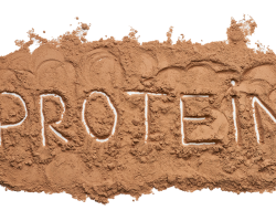 Protein Tozu Nedir?