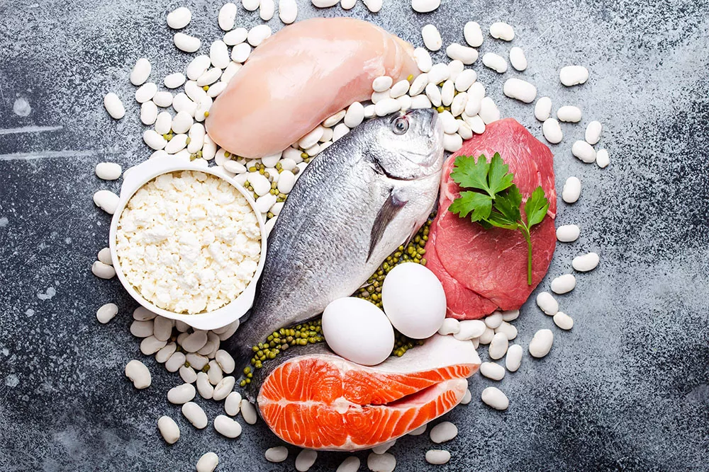 Protein diyeti sağlıklı mıdır?