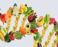 Epigenetik Beslenme Nedir?